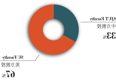 Chart-GlobalFacultyProfile 2